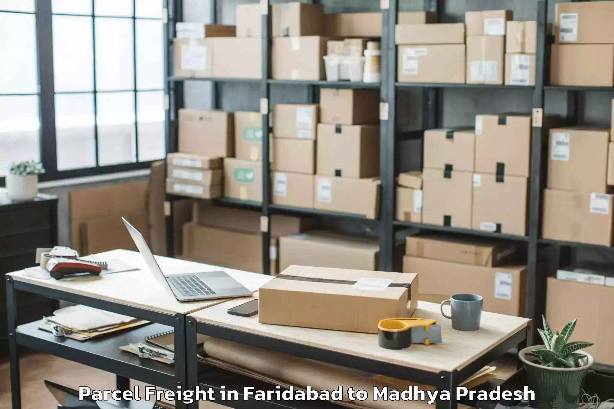 Top Faridabad to Mhow Parcel Freight Available